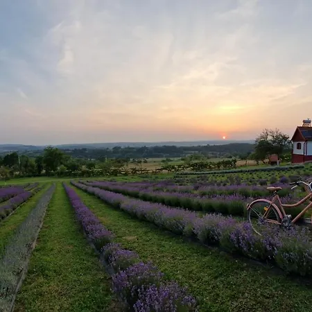 Lavanda Carasova Crasova Extérieur photo