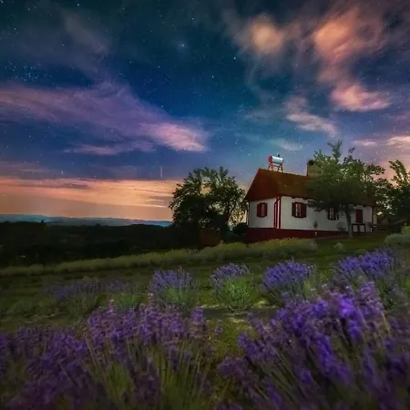 Lavanda Carasova Crasova Extérieur photo